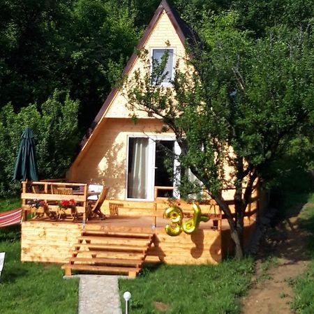 Cabana Din Livada Pucioasa 外观 照片
