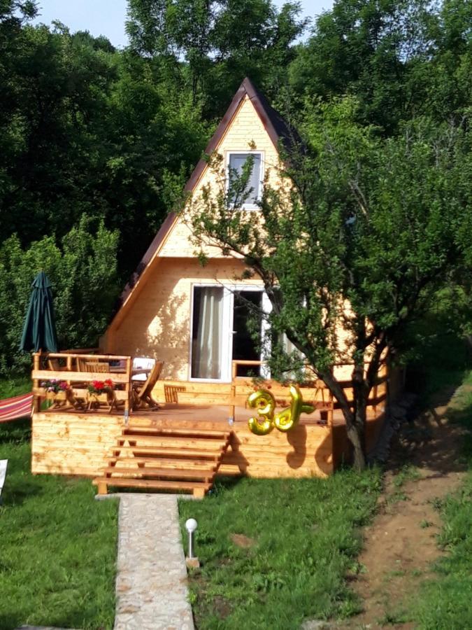 Cabana Din Livada Pucioasa 外观 照片